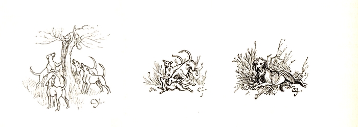 Illustration tirée du Manuel de Vènerie française - Emmanuel Le Couteulx de Canteleu (1890) - Hachette et Cie (Paris) - BnF (Gallica) 3